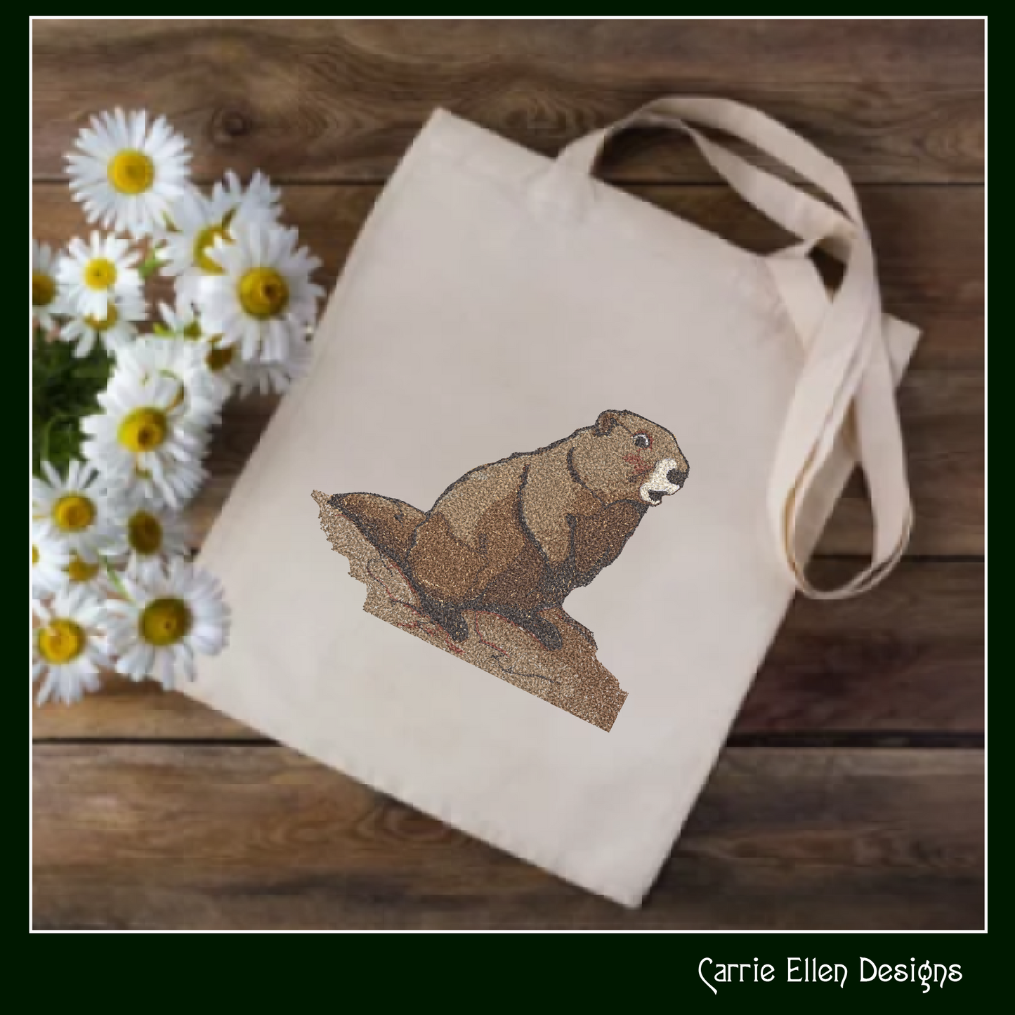 Groundhog Machine Embroidery Design, Groundhog Day, Garden Animal Pattern, Woodchuck Marmot Woodland Animal, 6 Sizes (3139)