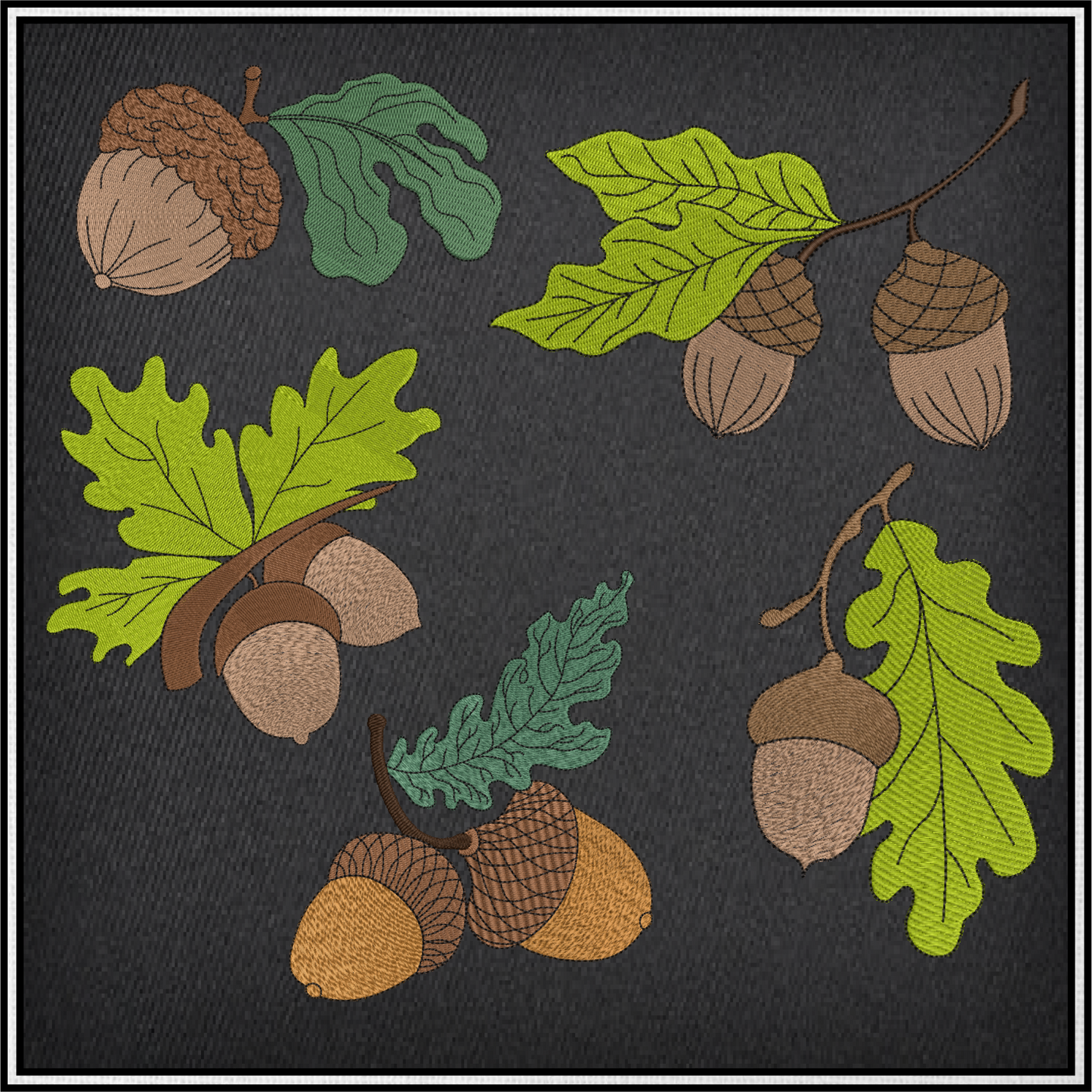 Acorn Machine Embroidery Design Bundle | Acorn and Oak Leaf Nature Designs | 5 Autumn Forest Patterns | 8 Sizes Each (0833)