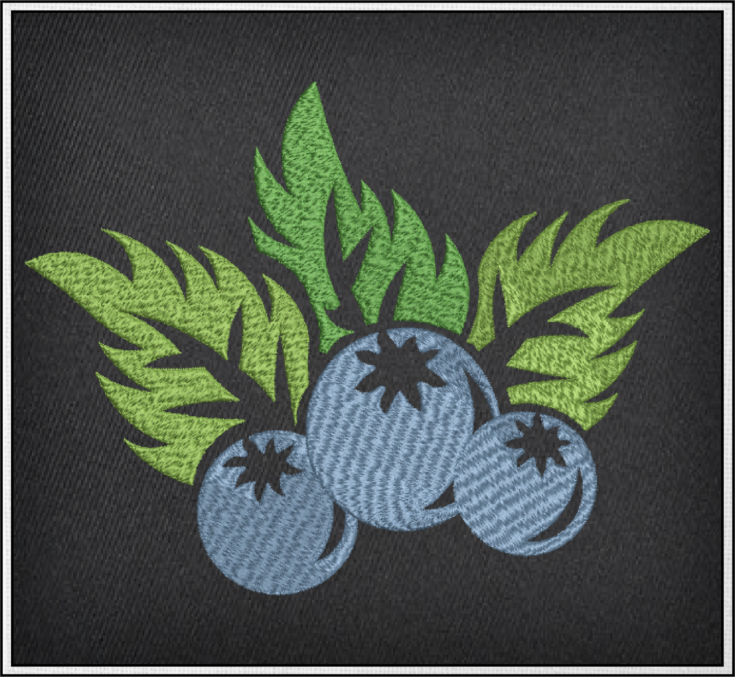 Blueberries Machine Embroidery Design | Orchard Fruit Summer Embroidery | Digital Fruit Stitch Design | 8 Sizes (0981)