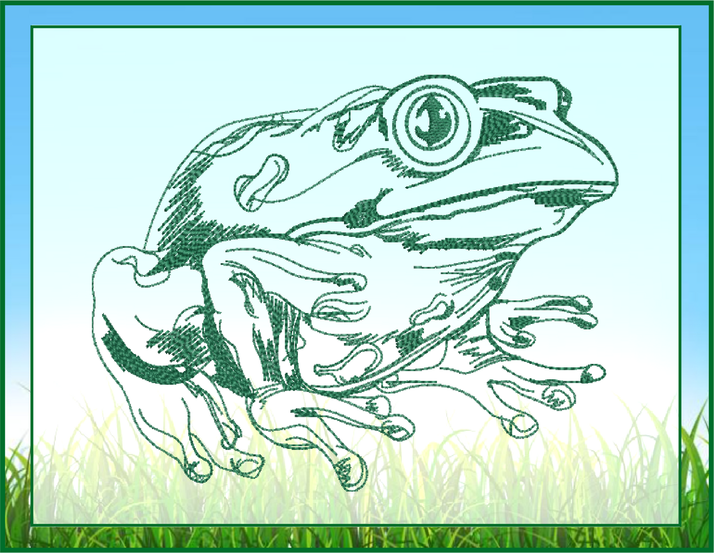 Frog Machine Embroidery Design, Toad Embroidery Sketch Design, Redwork Animal Line Art, Nature Embroidery, 4 Sizes (0434)
