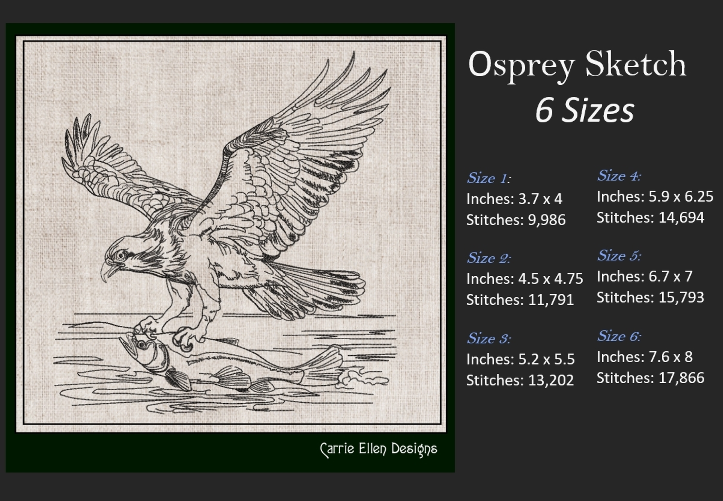 Osprey Sketch Machine Embroidery Design | Bird Catching Fish Line Art | Wildlife Nature Drawing | 6 Sizes (1710)