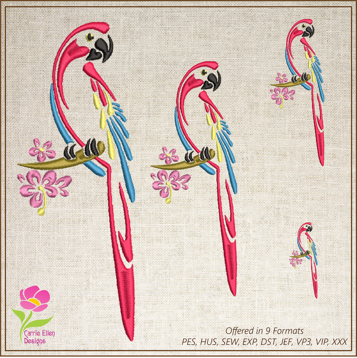 Parrot Machine Embroidery Design, Bird Embroidery Design, Tropical Jungle Bird Embroidery Design, 6 Sizes (0374)