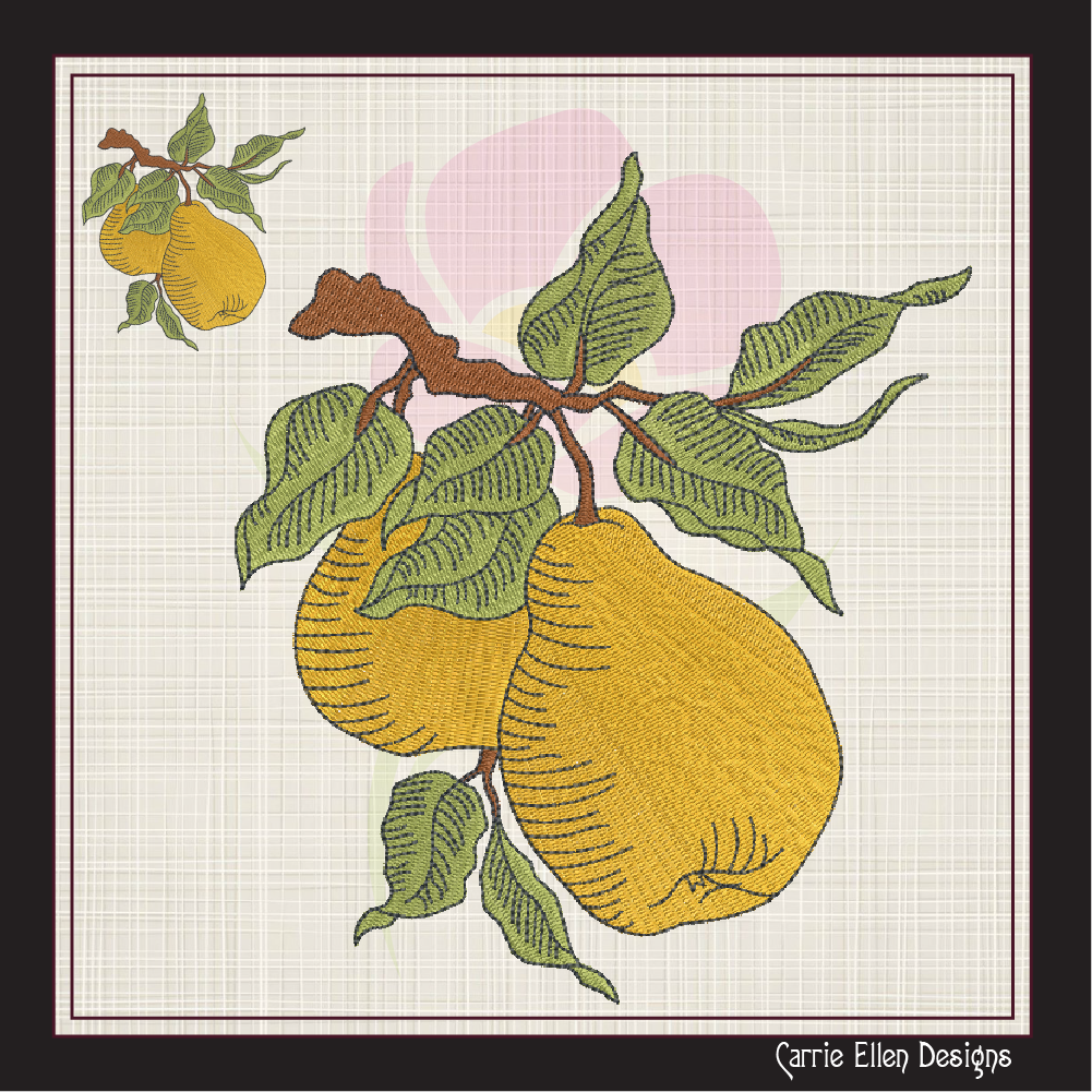 Fresh Pears Machine Embroidery Design | Summer Orchard Fruit Sketch | Farmhouse Kitchen Embroidery | 8 Sizes (0969)