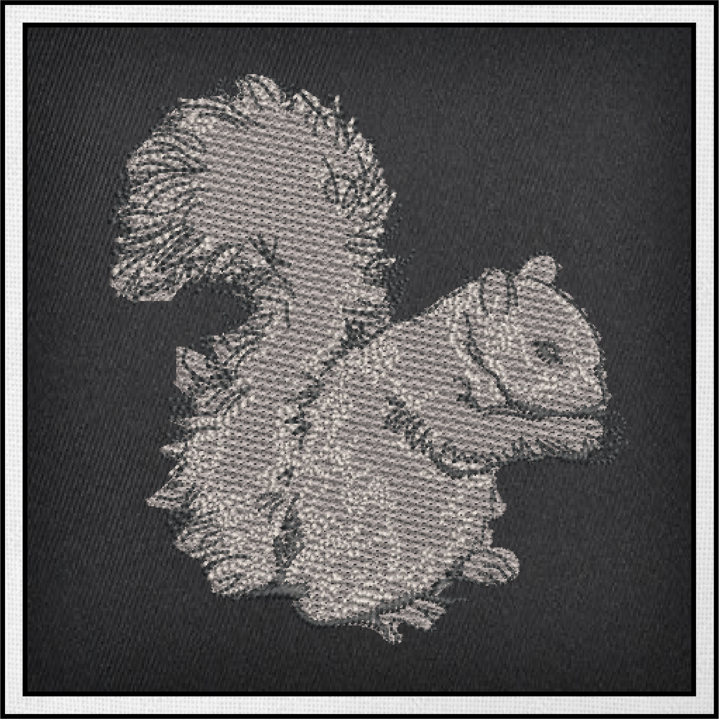 Squirrel Machine Embroidery Design | Woodland Wildlife Animal Sketch, 6 Sizes (0417)
