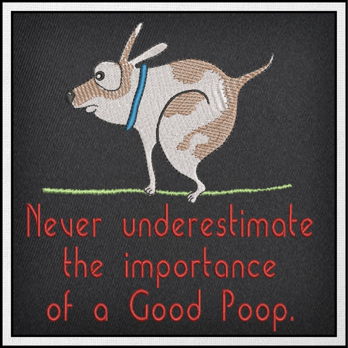 Importance of a Good Poop Machine Embroidery Design | Funny Pet Sayings | Humorous Quotes Embroidery | 6 Sizes (0745)