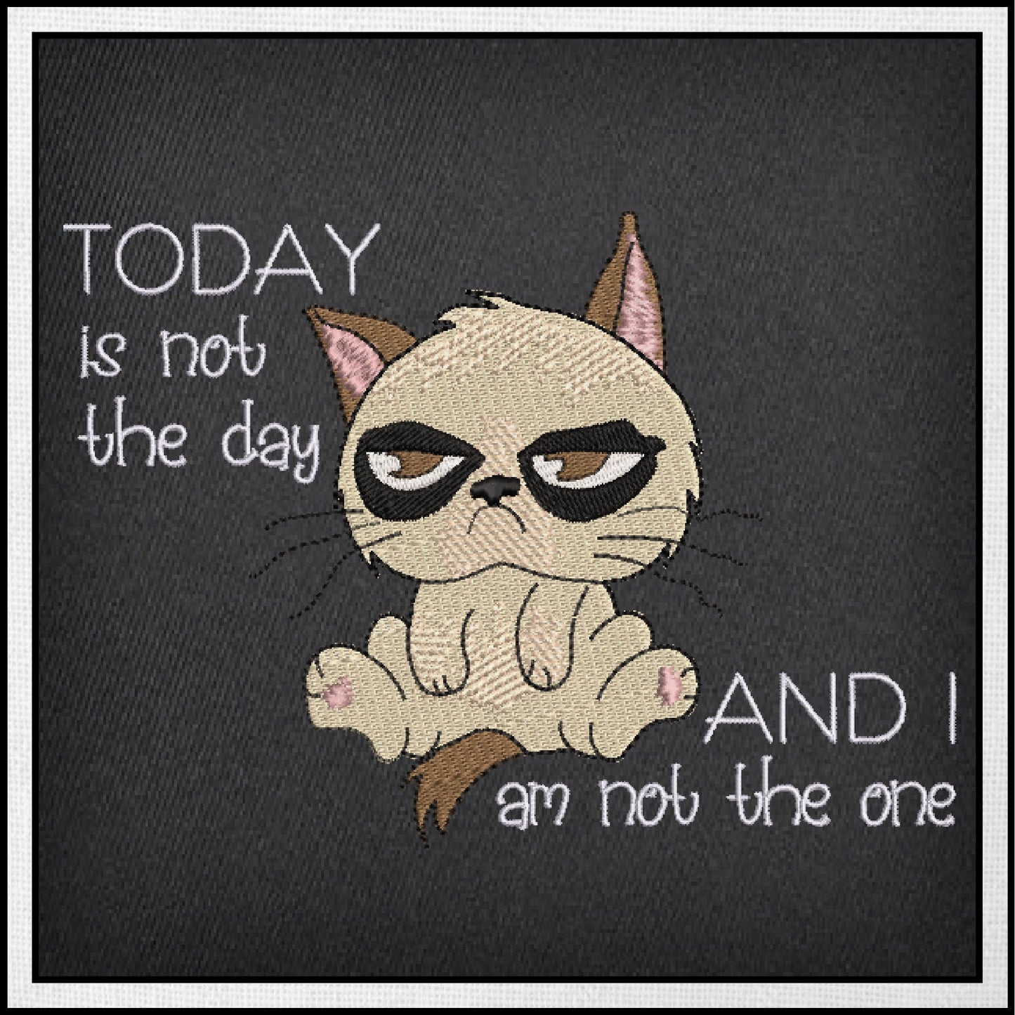 Today is Not The Day Machine Embroidery Design | Grumpy Cat Funny Saying | Sarcastic Humor Embroidery Quotes | 6 Sizes (0797)