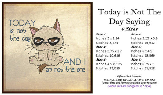 Today is Not The Day Machine Embroidery Design | Grumpy Cat Funny Saying | Sarcastic Humor Embroidery Quotes | 6 Sizes (0797)