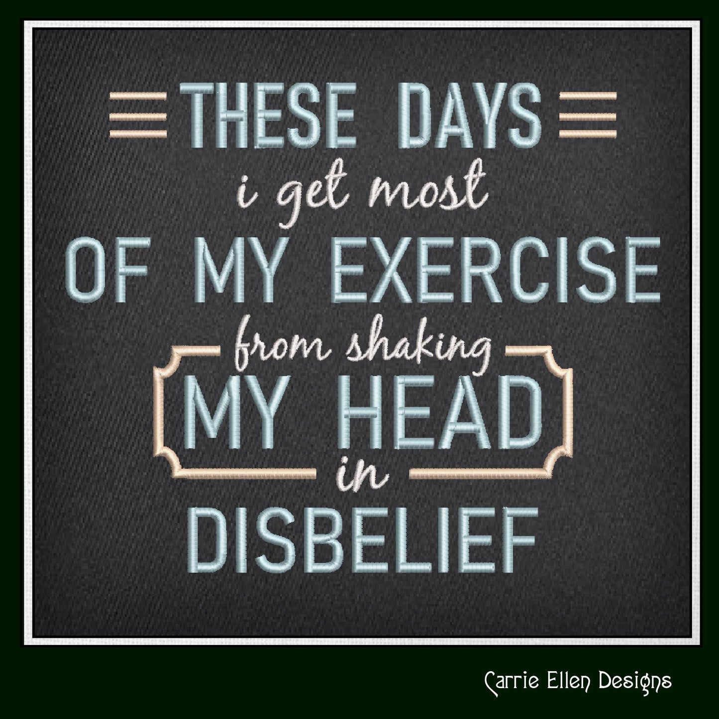 Shaking My Head in Disbelief Funny Saying Machine Embroidery Design, Snarky Adult Quote Pattern, 6 Sizes (2309)