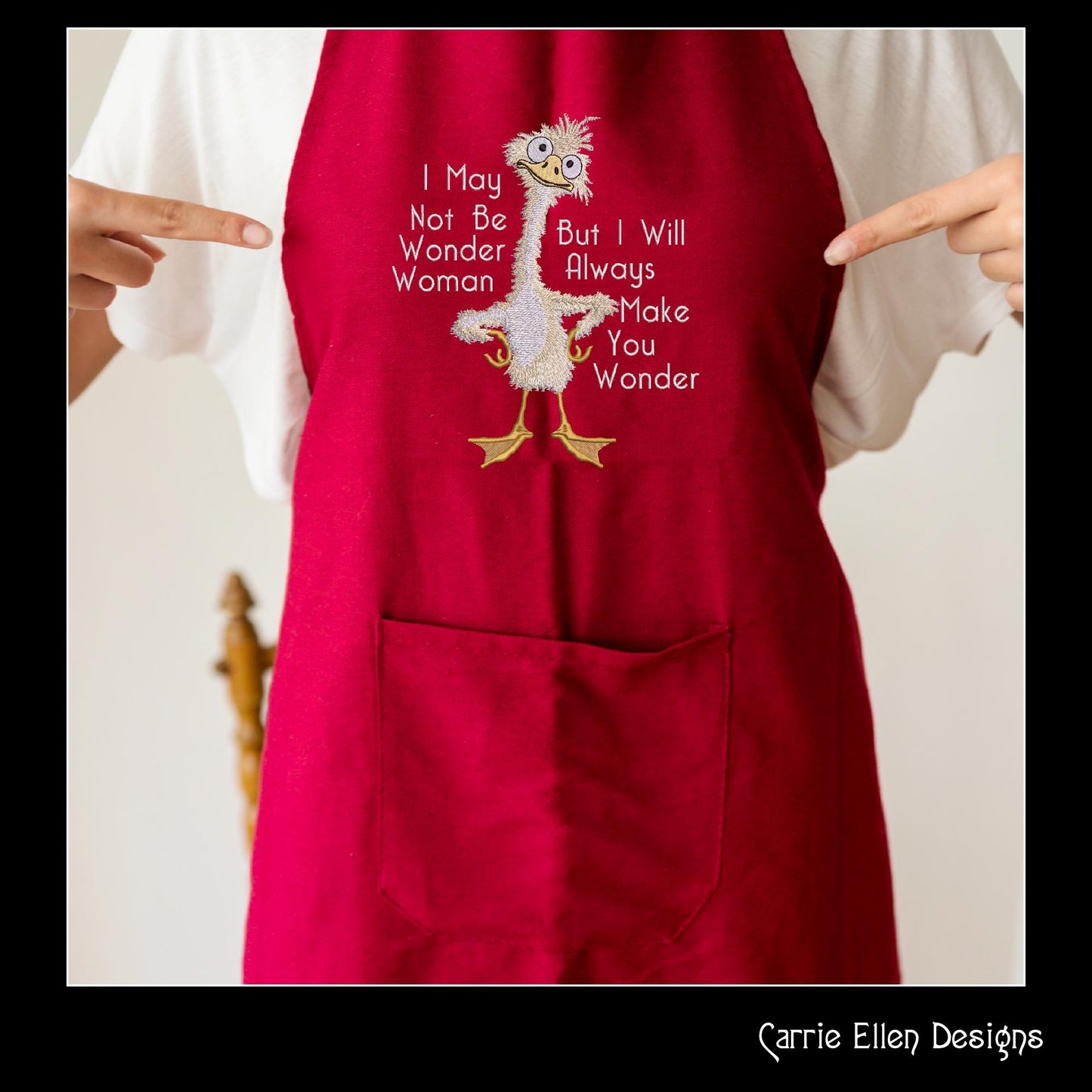 Silly Duck Embroidery Design Saying – “I May Not Be Wonder Woman” Snarky Quote Pattern, 6 Sizes (3237)