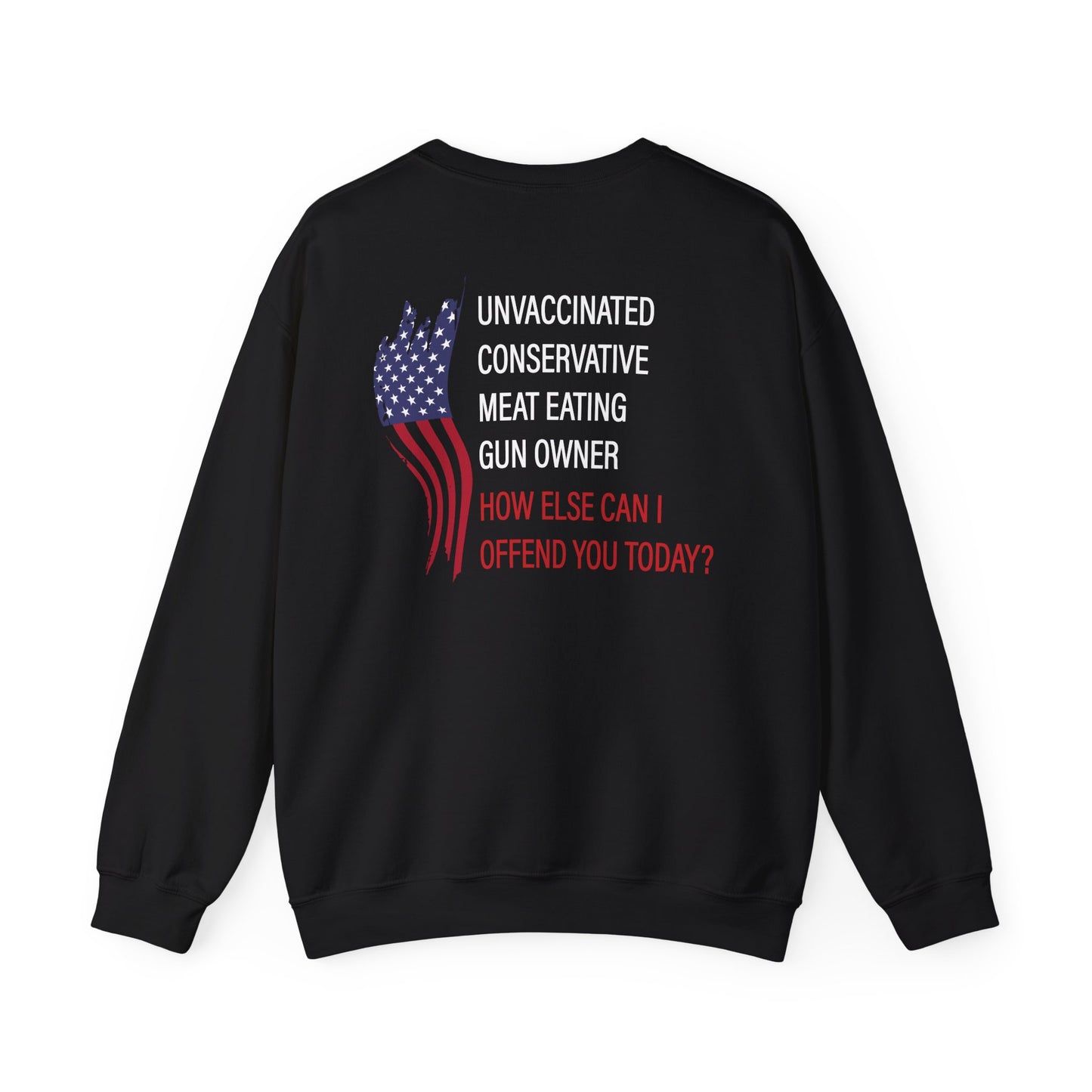 Bold Humor – How Can I Offend You Today Crewneck Sweatshirt | Sarcastic Adult Humor Unisex Pullover