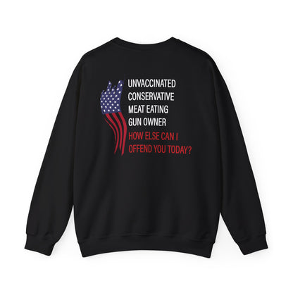 Bold Humor – How Can I Offend You Today Crewneck Sweatshirt | Sarcastic Adult Humor Unisex Pullover