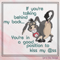 Good Position to Kiss My @ss – Snarky and Sassy Donkey Machine Embroidery Design | 6 Sizes (2438)