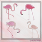 Flamingo Machine Embroidery Design Bundle – Tropical Pink Bird Pattern, 4 Designs, 6 Sizes Each Design (2500)