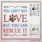 You Can’t Buy Love But You Can Rescue It | Rescue Dog Machine Embroidery Design | Paw Print Saying, 6 Sizes (2637)