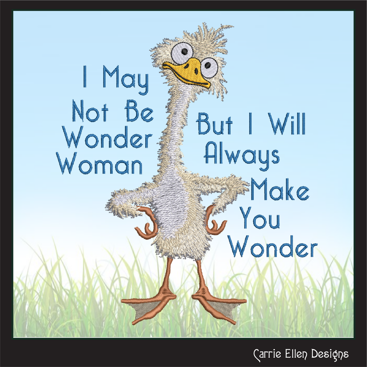 Silly Duck Embroidery Design Saying – “I May Not Be Wonder Woman” Snarky Quote Pattern, 6 Sizes (3237)