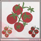 Vine Ripened Tomato Machine Embroidery Design – Fresh Garden Vegetable Pattern, 6 Sizes (3565)