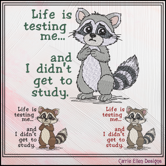 Life Is Testing Me Machine Embroidery Design | Funny Raccoon Quote Stitch File, 6 Sizes (3829)