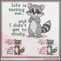 Life Is Testing Me Machine Embroidery Design | Funny Raccoon Quote Stitch File, 6 Sizes (3829)