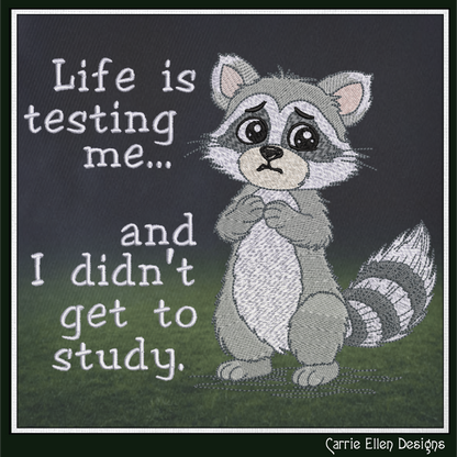 Life Is Testing Me Machine Embroidery Design | Funny Raccoon Quote Stitch File, 6 Sizes (3829)