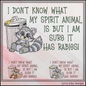 Spirit Animal Has Rabies" Funny Raccoon Machine Embroidery Design - Sarcastic Trash Raccoon Quote Pattern, 6 Sizes (4319)