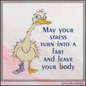 "May Your Stress Turn Into a Fart" Funny Goose Duck Machine Embroidery Design, 6 Sizes (4432)