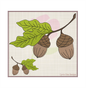 Acorn with Oak Leaf Machine Embroidery Design | Nature Home and Garden Embroidery | Tree and Forest Theme | 8 Sizes (0792)