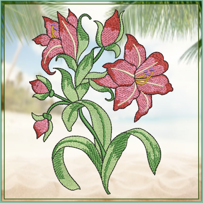 Amaryllis Flower Machine Embroidery Design – Floral Garden, Colorful Bloom, 8 Sizes (0315)