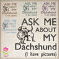 Dachshund Machine Embroidery Design – Ask Me About My Dachshund Quote, Funny Dog Saying Pattern, 6 Sizes (0586)