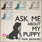 Puppy Dog Machine Embroidery Design | Ask Me About My Puppy Embroidered Sayings | Cute Puppy Dog Quotes | 6 Sizes (0584)
