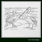 Pelican Sketch Machine Embroidery Design – Australian Pelican Line Art – Wading Water Bird Embroidery – 6 Sizes (1709)