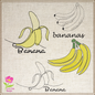Banana Machine Embroidery Design Bundle – Fruit and Produce Patterns, Banana Bunches Embroidery, 4 Designs in 8 Sizes Each (0448)