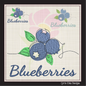 Blueberries Machine Embroidery Design | Summer Orchard Fruit Embroidery | Digital Blueberry Stitch Pattern | 8 Sizes (0982)