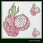 Dragon Fruit Machine Embroidery Design | Unique Exotic Fruit Embroidery | Fresh Produce Pattern | 6 Sizes (1699)