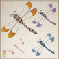 Dragonfly Machine Embroidery Design | Insect Embroidery Pattern | Garden Dragonflies & Bees Embroidery | 6 Sizes (0546) (Copy)
