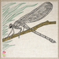 Dragonfly Machine Embroidery Design | Garden Insect and Bee Embroidery Sketch Pattern | 6 Sizes (0699)