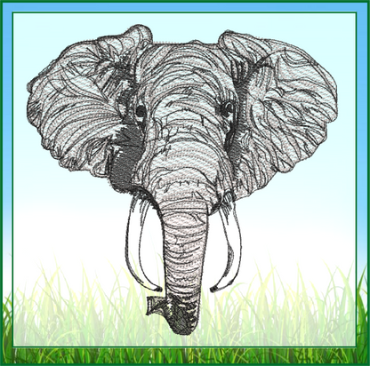 Elephant Head Machine Embroidery Sketch Design – Safari Animal Line Art Pattern, Large Land Animal, 6 Size (0521)
