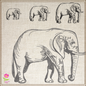 Elephant Sketch Machine Embroidery Design | Grazing Safari Elephant Embroidery Pattern | Large Land Animal Embroidery | 6 Sizes (0804)