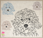 Golden Doodle Machine Embroidery Sketch Design – Dog Line Art Design in 6 Sizes  (0523)