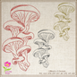 Wild Mushroom Embroidery Sketch Design, Mushroom Outline Line Art Garden, 6 Sizes (0249)