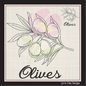 Olives Machine Embroidery Design | Olive Branch Outline Sketch | Orchard Fruits Embroidery | 8 Sizes (0984)