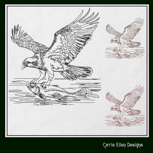 Osprey Sketch Machine Embroidery Design | Bird Catching Fish Line Art | Wildlife Nature Drawing | 6 Sizes (1710)