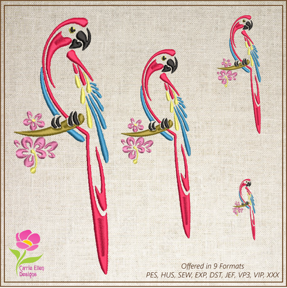 Parrot Machine Embroidery Design, Bird Embroidery Design, Tropical Jungle Bird Embroidery Design, 6 Sizes (0374)