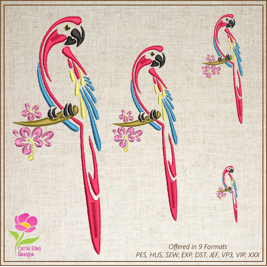 Parrot Machine Embroidery Design, Bird Embroidery Design, Tropical Jungle Bird Embroidery Design, 6 Sizes (0374)