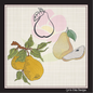 Fresh Pears Machine Embroidery Design Bundle | Summer Orchard Fruit Sketches | 3 Designs, 8 Sizes Each (0970)