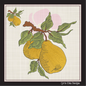 Fresh Pears Machine Embroidery Design | Summer Orchard Fruit Sketch | Farmhouse Kitchen Embroidery | 8 Sizes (0969)