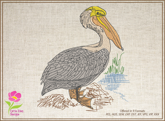 Pelican Machine Embroidery Design – Custom Audubon Bird Pattern, Instant Download, 10 Sizes (0613)