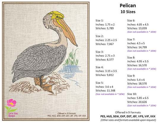 Pelican Machine Embroidery Design – Custom Audubon Bird Pattern, Instant Download, 10 Sizes (0613)