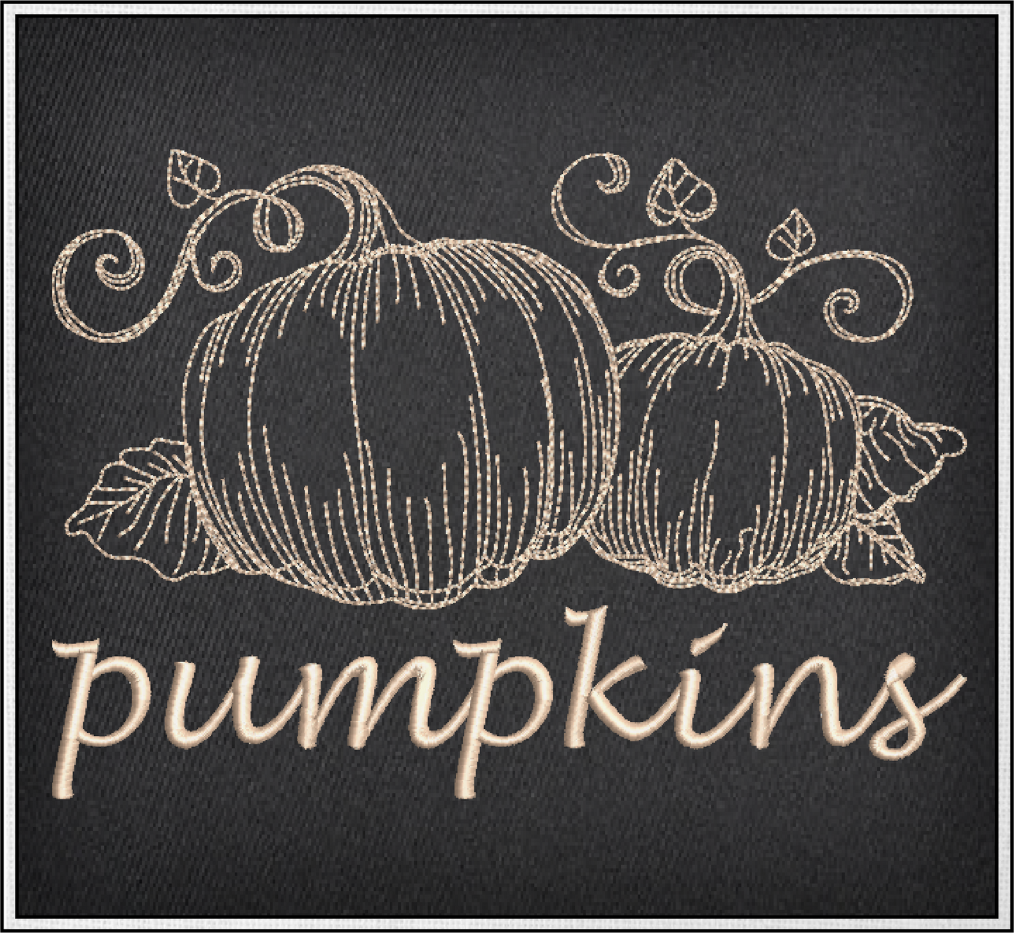 Pumpkin Machine Embroidery Sketch Design | Autumn Fall Garden Fruit Outline | Seasonal Digital Embroidery Drawing | 8 Sizes (0994)