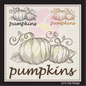 Pumpkin Machine Embroidery Sketch Design | Autumn Fall Garden Fruit Outline | Seasonal Digital Embroidery Drawing | 8 Sizes (0994)