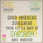 Ray of Sarcasm Machine Embroidery Design – Funny Sunshine Saying, Humorous Embroidered Quote, 6 Sizes (0596)